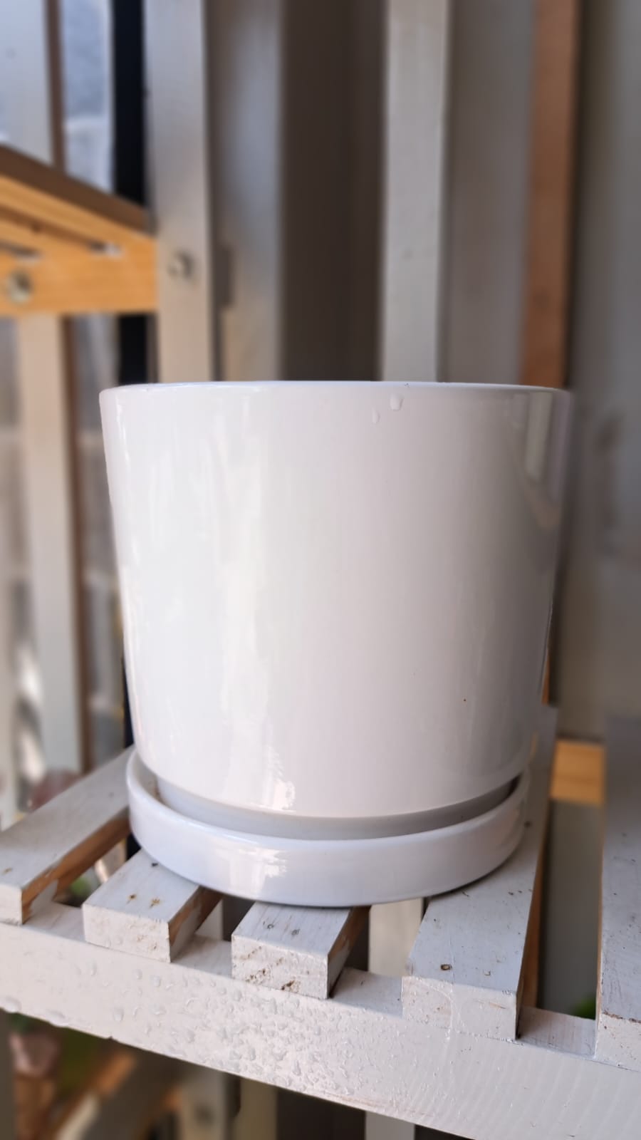 Maceta Blanca